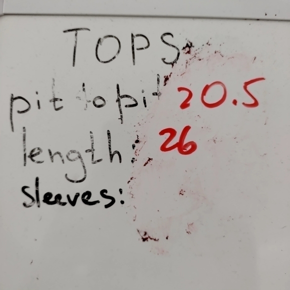 Citron Santa Monica silk dragonfly print button down blouse sz S - Picture 7 of 7